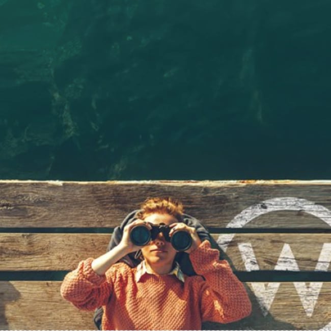 海外デジタルマーケティング戦略