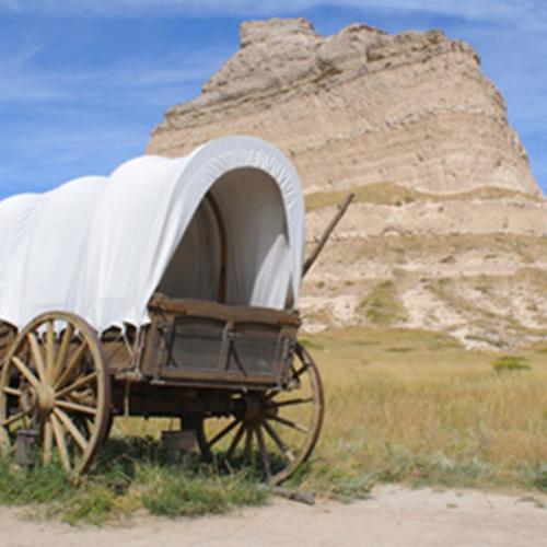 Lay-Summary-Development