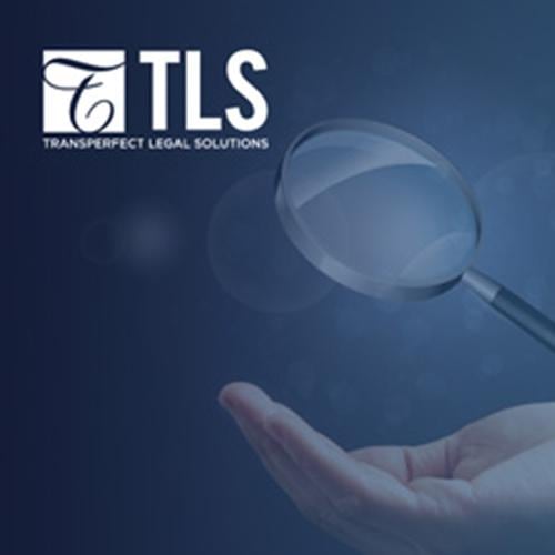 the challenges of doing internal investigations remotely