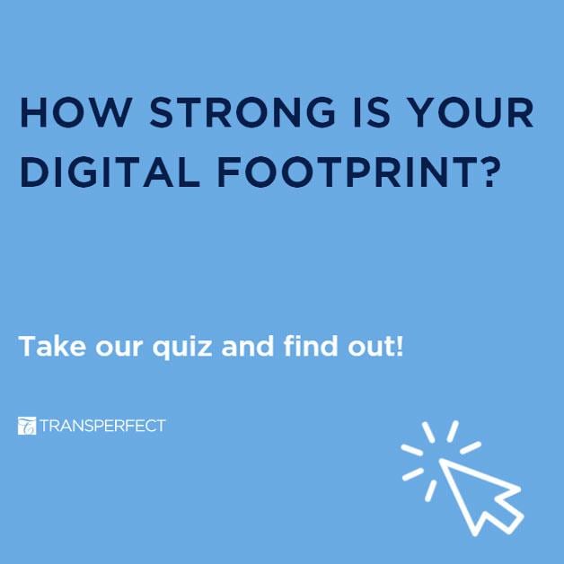 Digital Footprint Survey