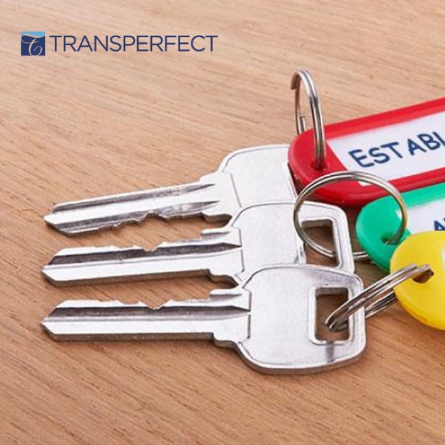 翻訳の正確性と高品質を担保しつつ効率的にコンテンツを多言語展開