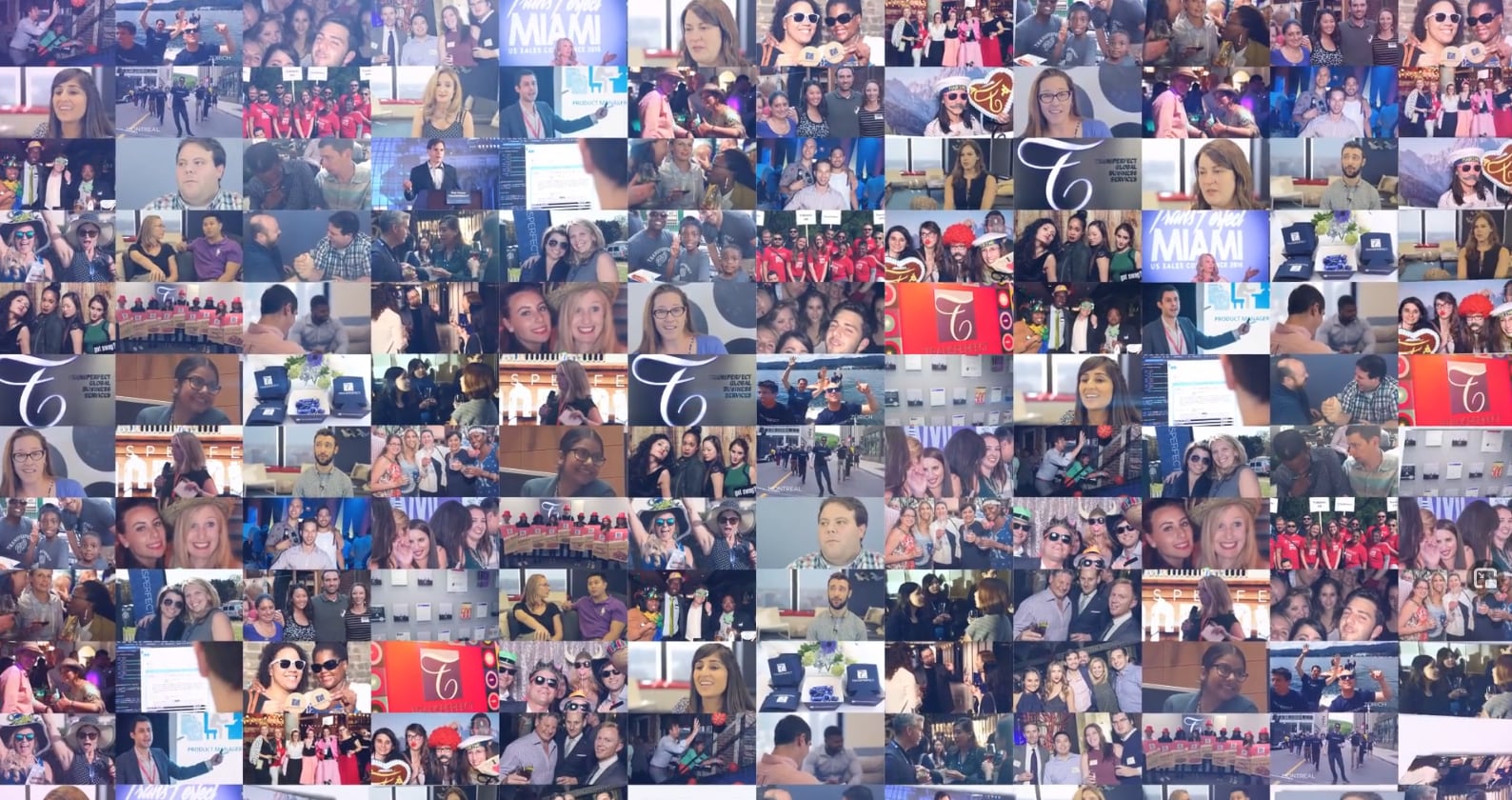 TransPerfect Culture